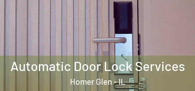 Automatic Door Lock Services Homer Glen - IL