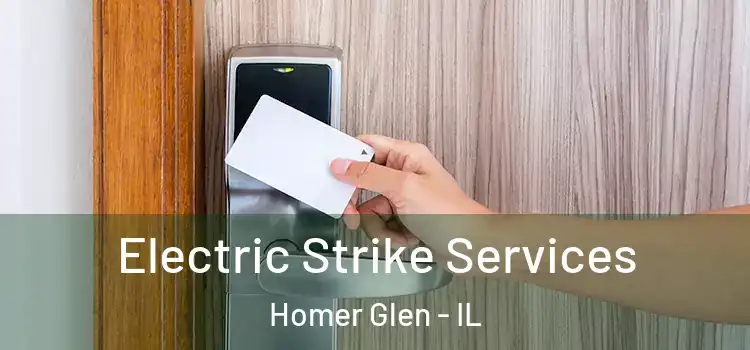  Electric Strike Services Homer Glen - IL