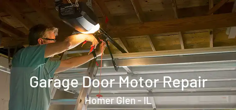  Garage Door Motor Repair Homer Glen - IL