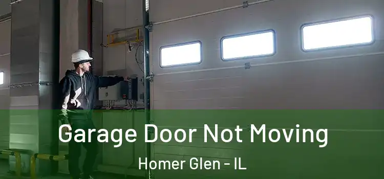  Garage Door Not Moving Homer Glen - IL