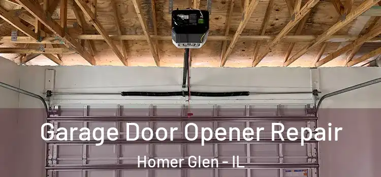  Garage Door Opener Repair Homer Glen - IL