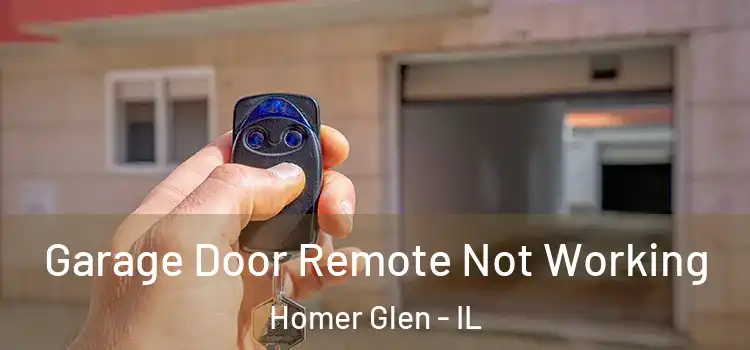  Garage Door Remote Not Working Homer Glen - IL