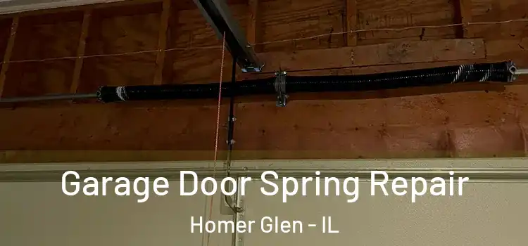  Garage Door Spring Repair Homer Glen - IL