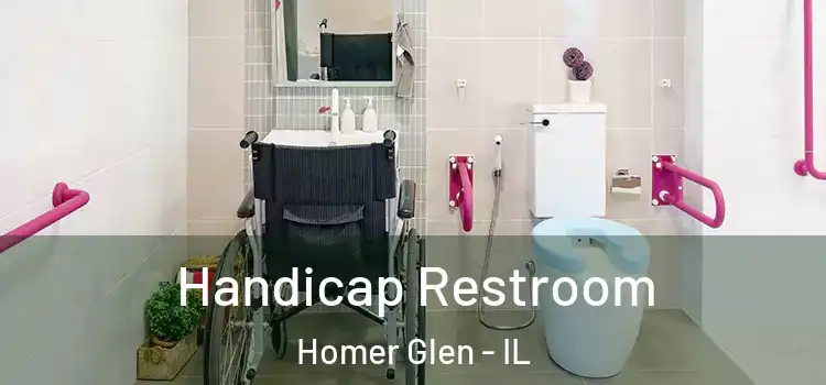  Handicap Restroom Homer Glen - IL