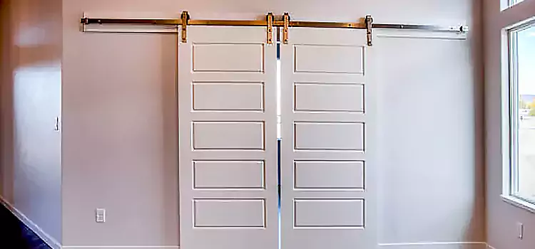 Glass Barn Door with Installation Hardware Kit Homer Glen