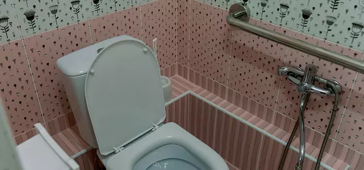 Meeting Diverse Needs With Accessible Restroom Solutions in Homer Glen, IL