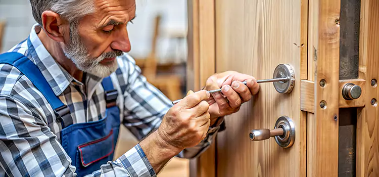 Mortise Replacement Lock Homer Glen