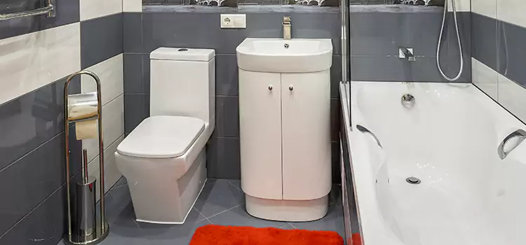 Hansgrohe Shaving Mirror Homer Glen